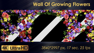 3D Wall Generator - 46