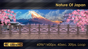 3D Wall Generator - 20