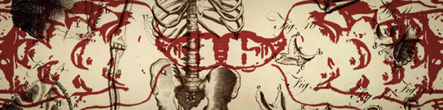 VIDENTITY icon